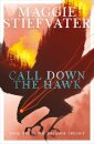 Call Down the Hawk
