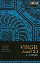 Virgil Aeneid XII: A Selection