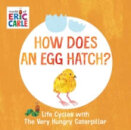 How Does An Egg Hatch?