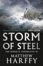 Storm of Steel