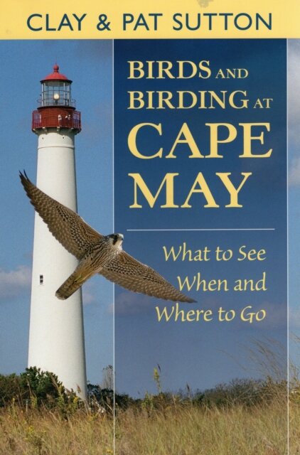 Birds and Birding at Cape May