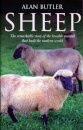 Sheep – The remarkable story of the humble animal that built the modern world.