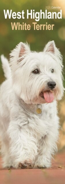 West Highland Terrier Slim Calendar 2026 Dog Breed Slimline Calendar - 12 Month