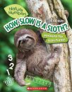 How Slow Is a Sloth?: Measure the Rainforest (Nature Numbers)