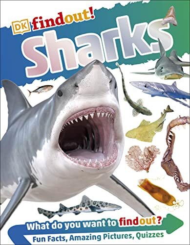 Sharks (Dk Find Out!)
