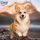 Corgis Wall