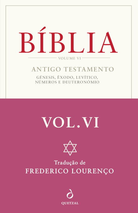 Bíblia Vol. VI