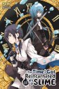 That Time I Got Reincarnated as a Slime, Vol. 11 (light novel)