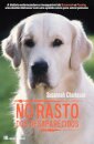 No Rasto dos Desaparecidos