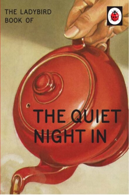 Ladybird Book Of The Quiet Night In Ladybird For G