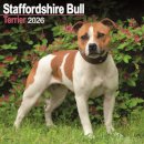 Staffordshire Bull Terrier Calendar 2026  Square Dog Breed Wall Calendar - 16 Month