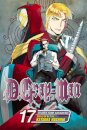 D Gray Man 17