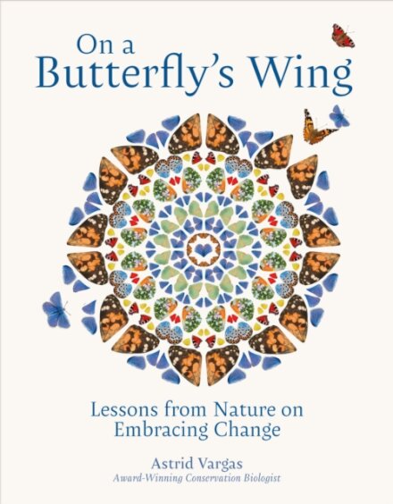 On a Butterfly's Wing