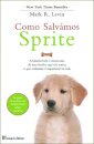 Como Salvamos Sprite