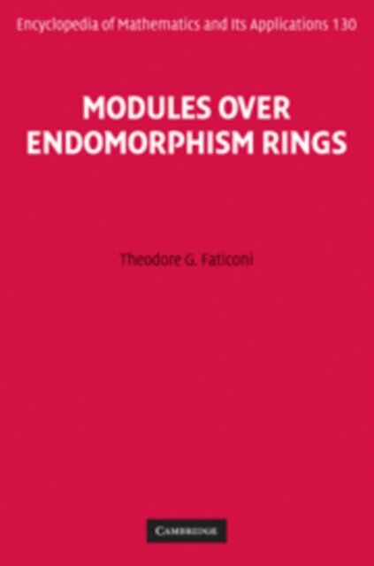 Modules Over Endomorphism Rings