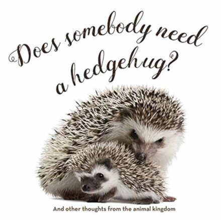 Does Somebody Need a Hedgehug?