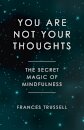 You Are Not Your Thoughts