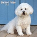 Bichon Frise Calendar 2026  Square Dog Breed Wall Calendar - 16 Month
