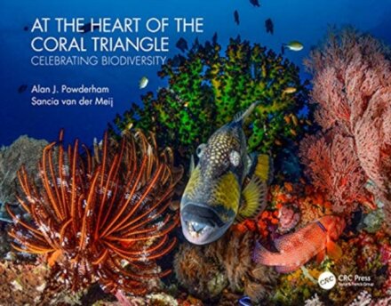 At the Heart of the Coral Triangle