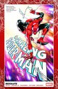 The Amazing Spider-Man Vol 03