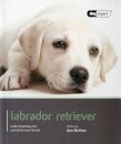 Labrador - Dog Expert