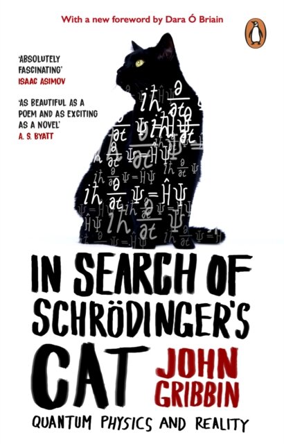 In Search Of Schrodinger'S Cat