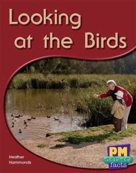 Looking at the Birds