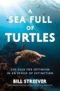 A Sea Full of Turtles