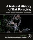 A Natural History of Bat Foraging