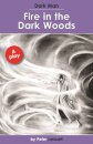 Fire in the Dark Woods