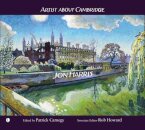 Artist about Cambridge