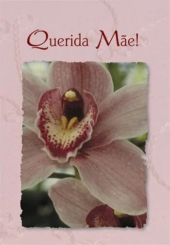 Querida Mae!