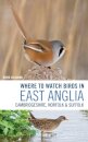 Where to Watch Birds in East Anglia