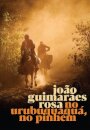 No Urubuquaquá, No Pinhém