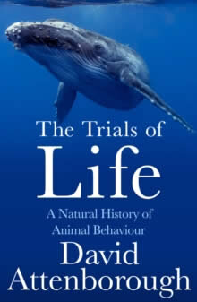 The Trials Of Life