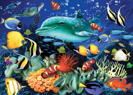 Coral Reef 1000 Piece Jigsaw