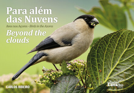 Para Além das Nuvens - Aves nos Açores / Beyond the Clouds - Birds in the Azores