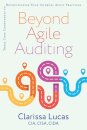 Beyond Agile Auditing