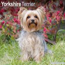 Yorkshire Terrier Wall