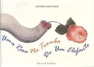 Uma Rosa Na Tromba De Um  Elefante