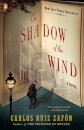 The Shadow Of The Wind Book 1