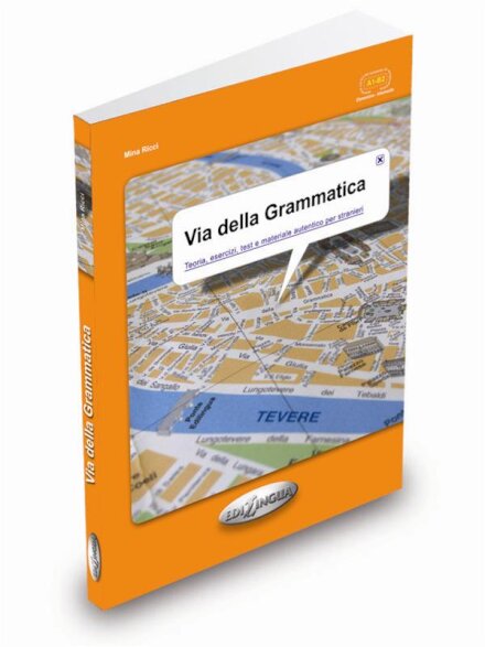 Via della grammatica - 312 pag.