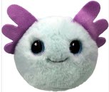 Swish Axolotl - Bouncer