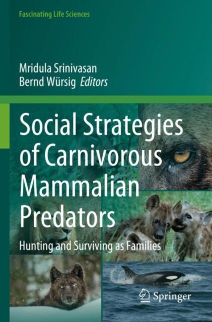 Social Strategies of Carnivorous Mammalian Predators