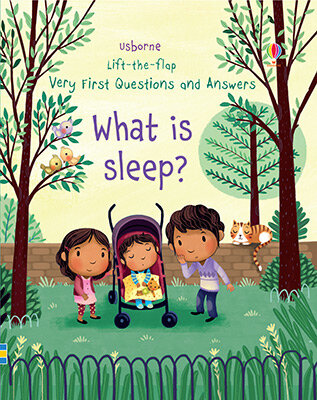 Very First Lift-The-Flap Questions & Answers What