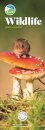Rspb Wildlife Slim Calendar 2026