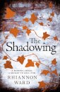 The Shadowing