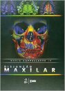 Disjunção Maxilar
