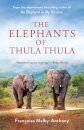 The Elephants of Thula Thula
