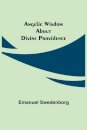 Angelic Wisdom about Divine Providence